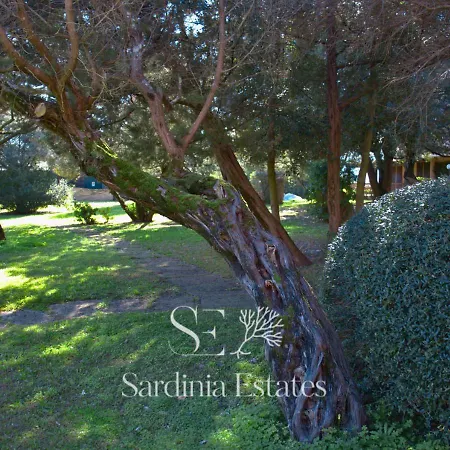Apartment 30m From The Sea - La Terrazza Sul Mare *